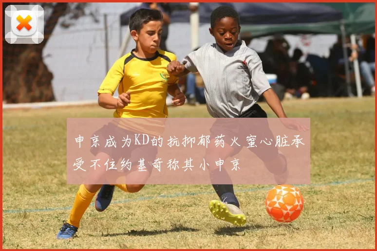 申京成为KD的抗抑郁药火蜜心脏承受不住约基奇称其小申京