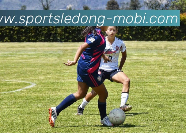 乐动体育发展历程