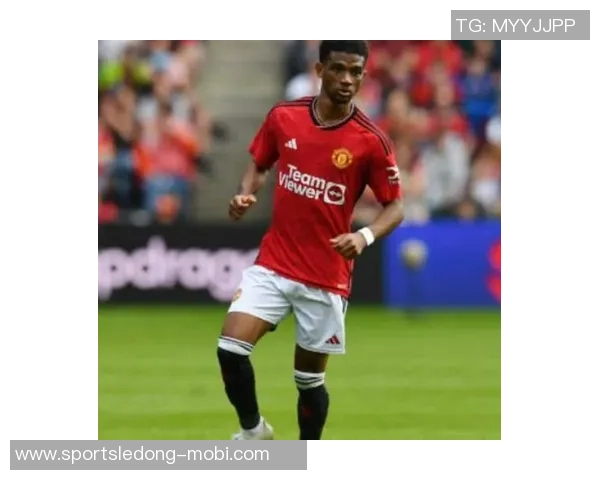 桑德兰主帅谈阿玛德：曾是重要球员但比赛中绝不留情